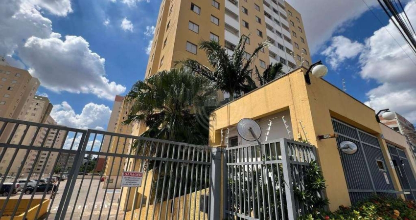 Apartamento com 3 dormitórios à venda, 66 m² por R$ 350.000,00 - Parque Itália - Campinas/SP