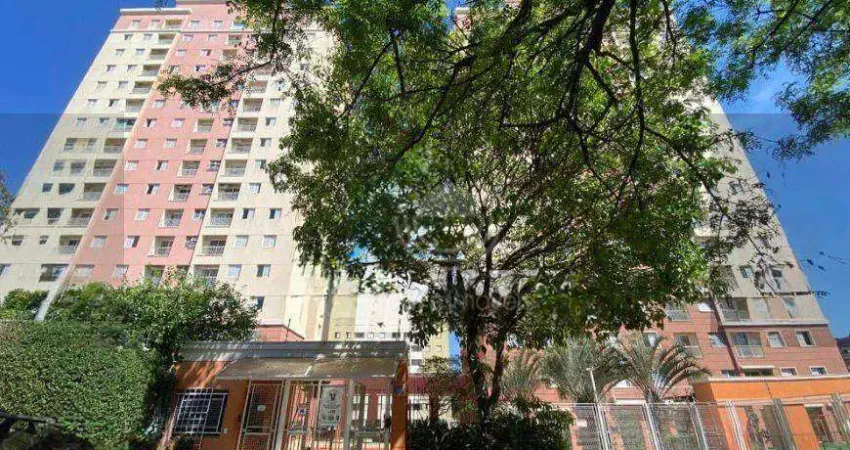 Apartamento com 3 quartos para alugar na Rua Pedro Braga, Parque Itália, Campinas