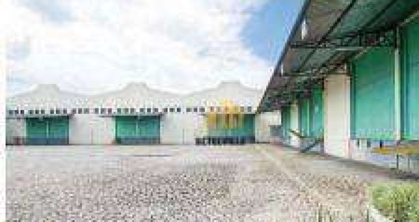 Barracão para alugar - São José dos Pinhais/PR Contorno Norte