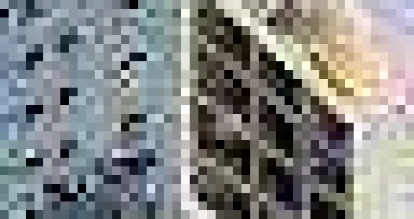 Apartamento à venda na Rua Guilherme Pugsley, Água Verde, Curitiba