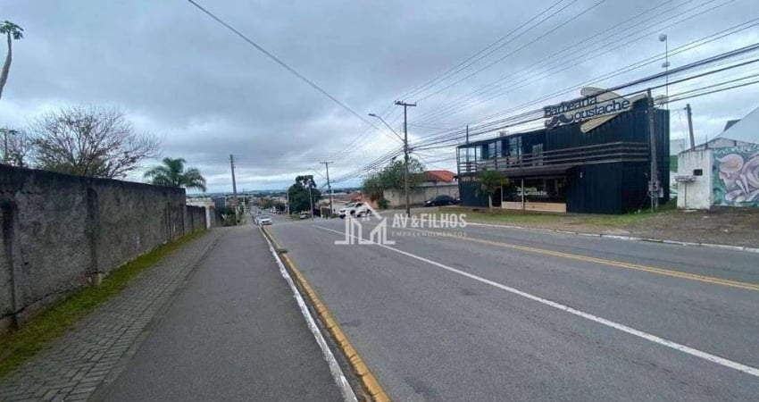 Terreno Residencial à venda, Centro, Pinhais - TE0011.