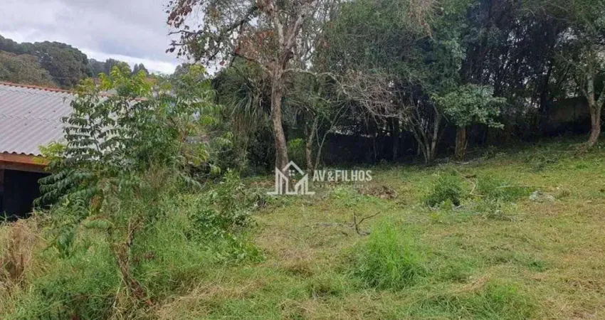 Terreno Residencial à venda, Vila Rosa, Piraquara - TE0026.