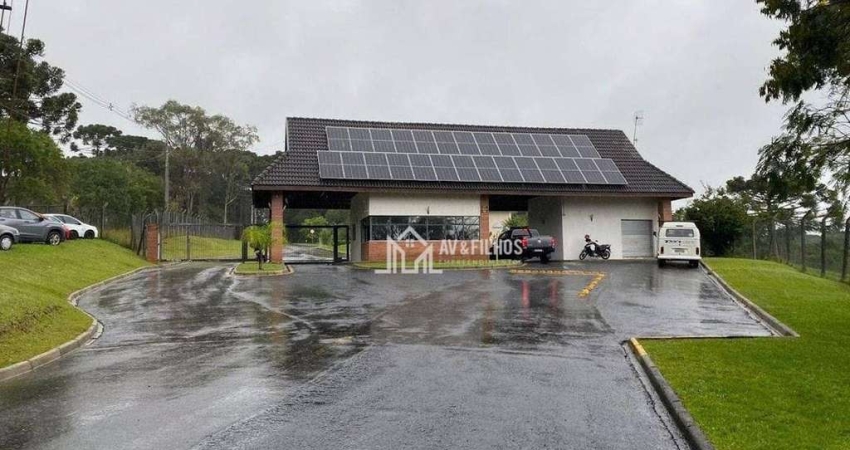 Terreno à venda, 3672 m² por R$ 850.000,00 - Centro - Quatro Barras/PR