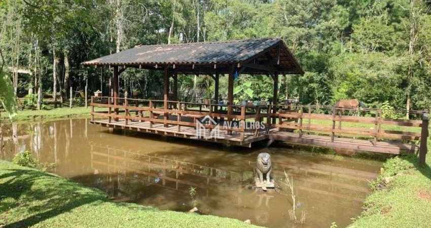 Chácara com 3 dormitórios à venda, 4232 m² por R$ 1.800.000,00 - Planta Laranjeiras - Piraquara/PR