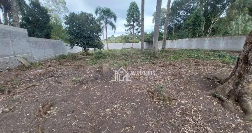 Terreno à venda na Rua José Gomes, 451, Vila Rosa, Piraquara