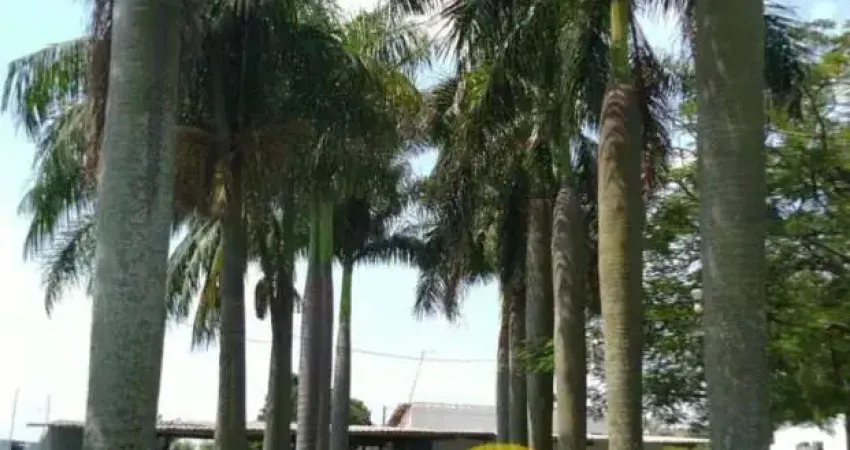 Chácara para venda, 2 quarto(s), recanto ceci ovos, nova odessa - ch1608