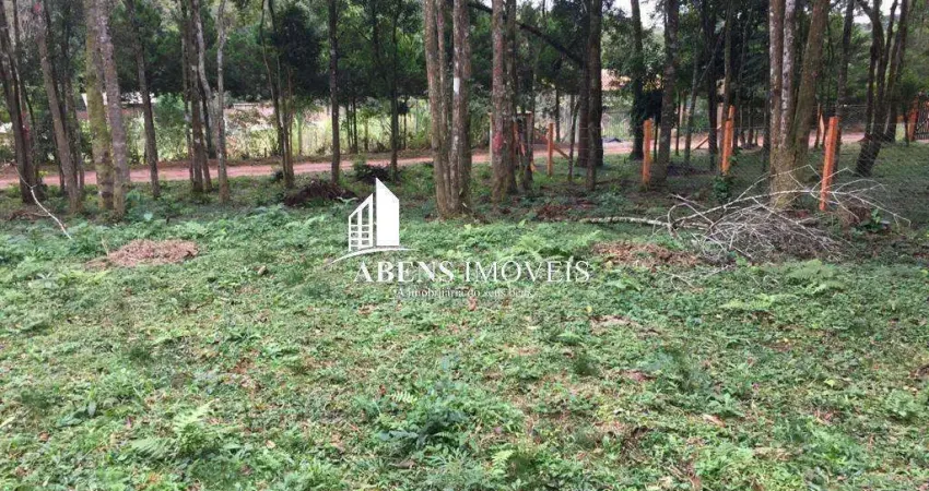 Terreno para Venda em Piraquara, Colônia Santa Maria, 10 vagas