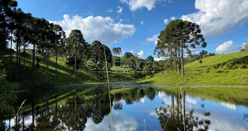 Fazenda à venda na Campo Alto, 5, Campo Alto, Tijucas do Sul