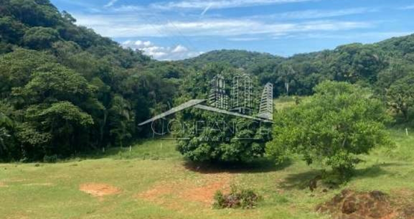 Fazenda à venda na Rodovia Deputado Miguel Bufara, Centro, Antonina