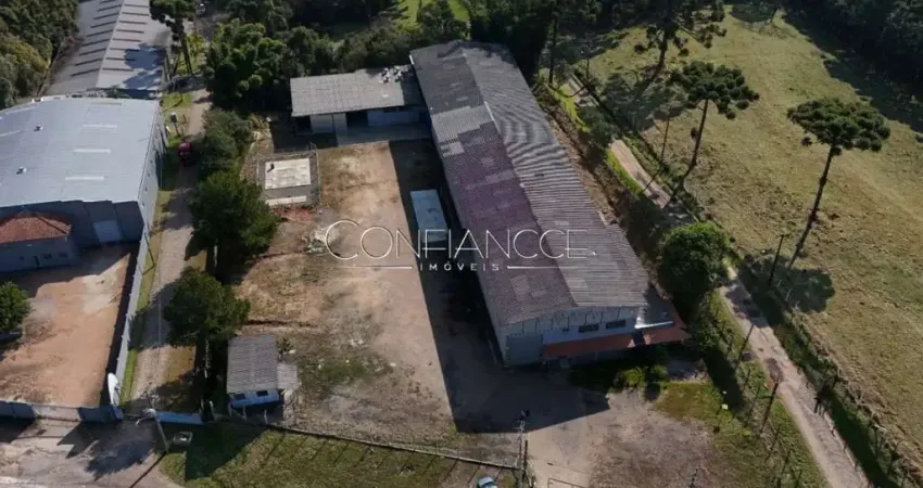 Barracão / Galpão / Depósito para alugar na Rua Antônio Singer, 000, Miringuava, São José dos Pinhais