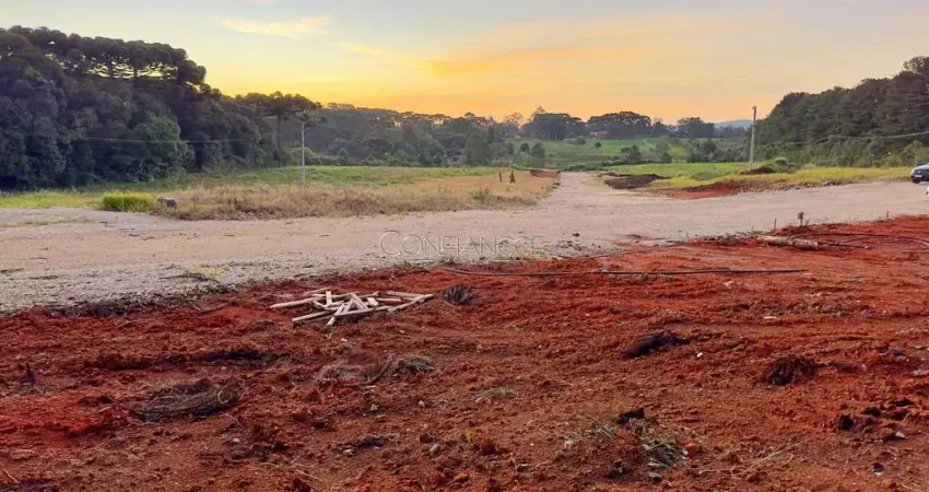 Terreno em condomínio fechado à venda na Rua Gaspar Anthenor Zeni, 415, Águas Claras, Piraquara