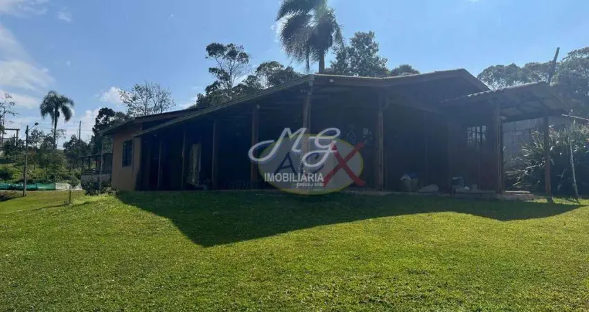 Chácara com 3 dormitórios à venda, 10000 m² por R$ 1.250.000,00 - São Dimas - Colombo/PR