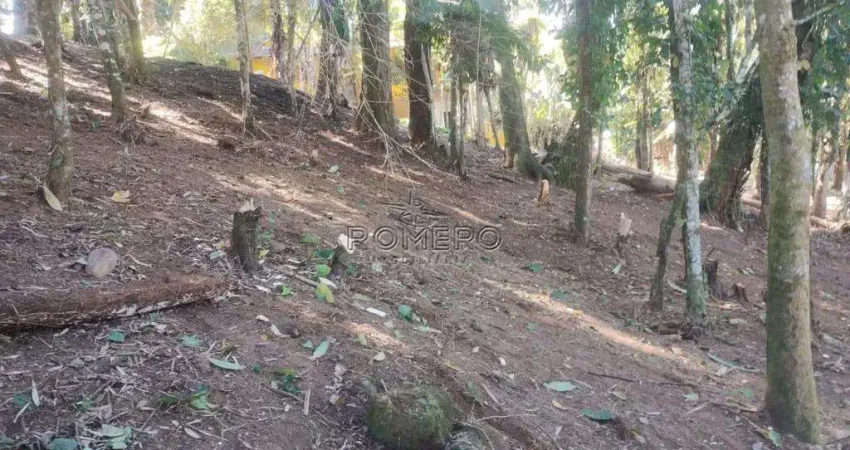 Terreno, Sertão da Quina, Ubatuba - R$ 250 mil, Cod: 2557