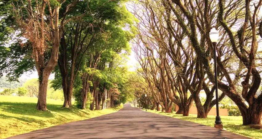 Terreno em condomínio fechado à venda na Rodovia dos Bandeirantes, 72, Serra Azul, Itupeva