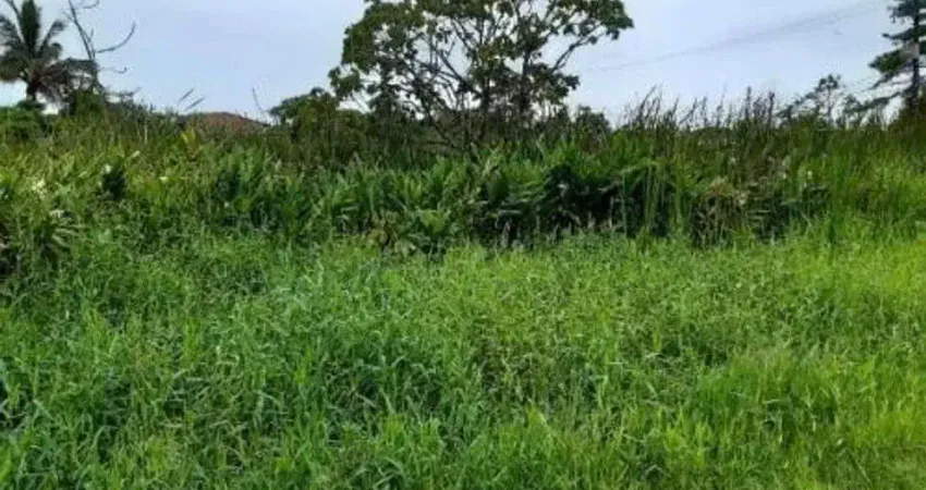 Terreno à venda no Palmeiras II, Itanhaém 