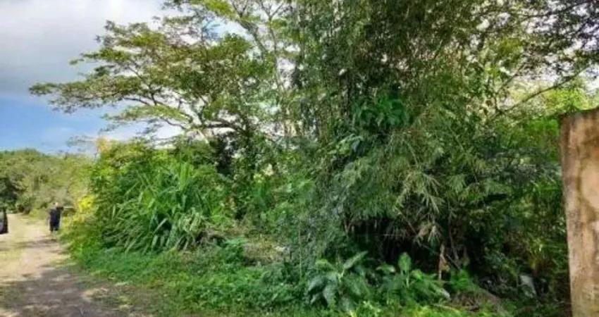 Terreno à venda no Jardim Tropical, Itanhaém 