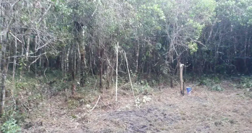 Terreno à venda no Bopiranga, Itanhaém 