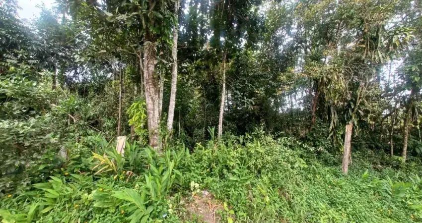 Terreno à venda no Parque Real, Itanhaém