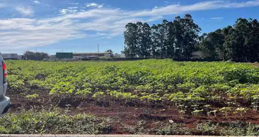 Terreno à venda, 360 m² por R$ 251.356,50 - Guarujá - Cascavel/PR