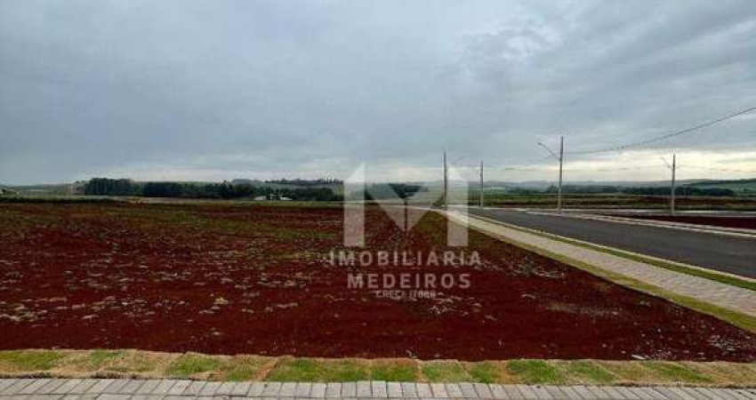 Terreno à venda, 368 m² por R$ 369.000,00 - Viena - Cascavel/PR