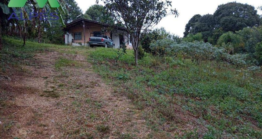 Chácara com 2 dormitórios para alugar, 48000 m² por R$ 2.500/mês - Rio do Cacho - Contenda/PR