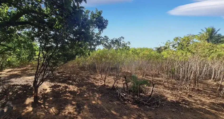 Terreno à venda na Alameda Ricardo Borgatti, 123, Jardim Ipê, Lagoa Santa