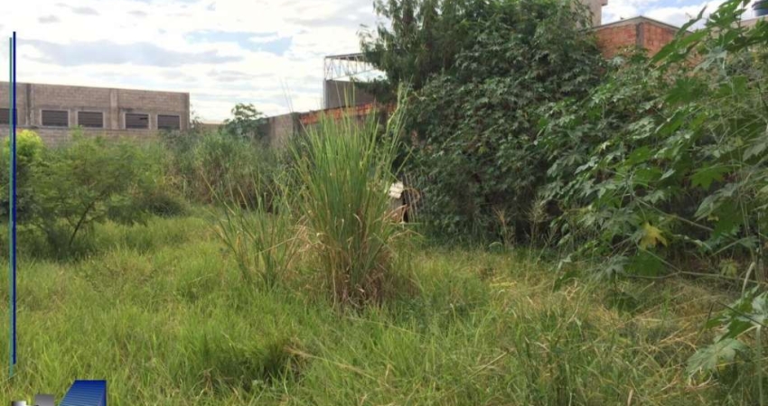 Terreno comercial/residencial a venda Rua Barretos Ribeirao Preto