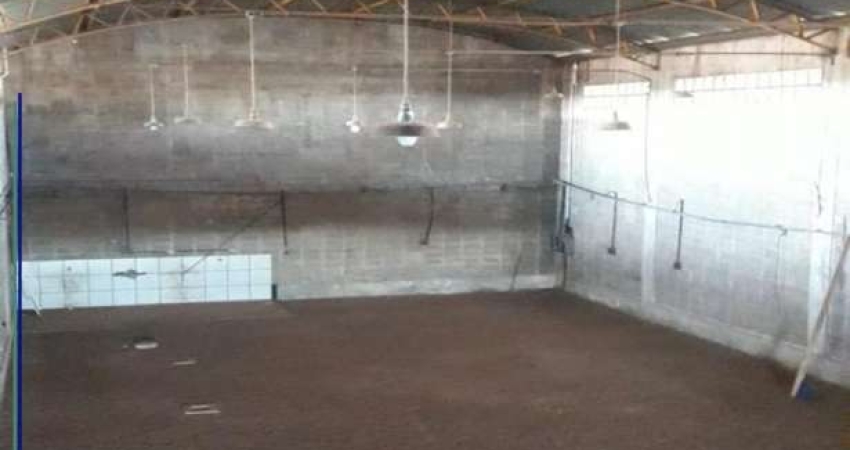 Galpoes para empresa - Vila Carvalho  em Ribeirao Preto para Locacao