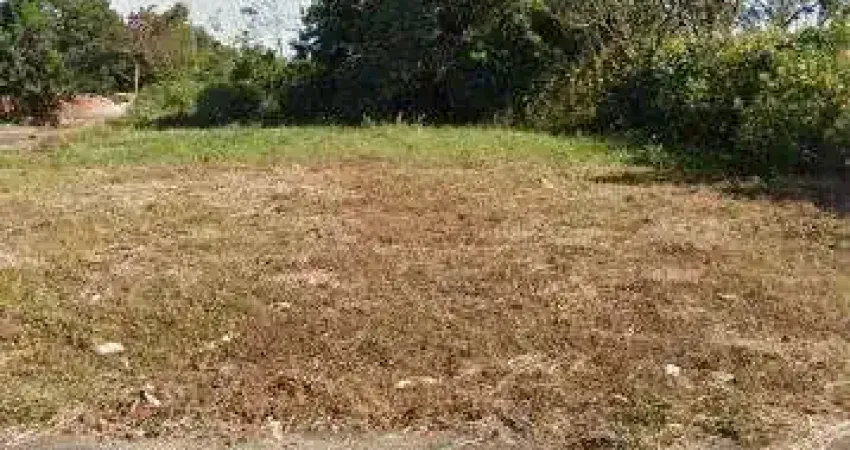 Terreno comercial/industrial a venda Vila Elisa - Ribeirão Preto