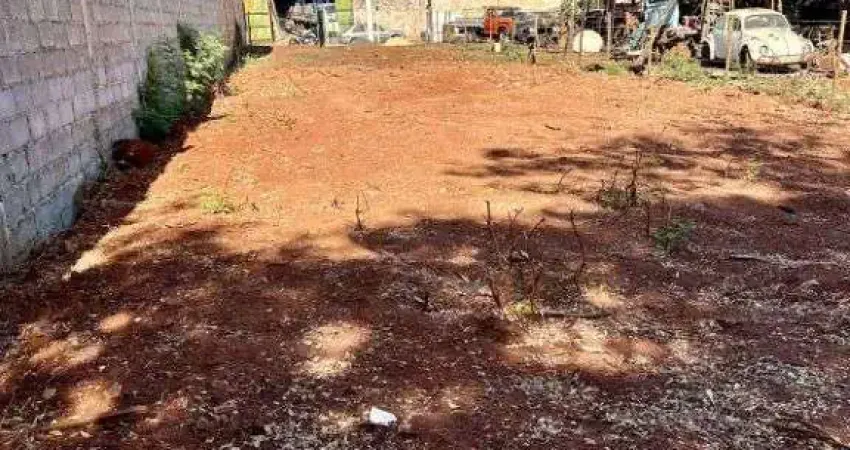 Terreno comercial para alugar na Rua Espanha, 81, Vila Elisa, Ribeirão Preto