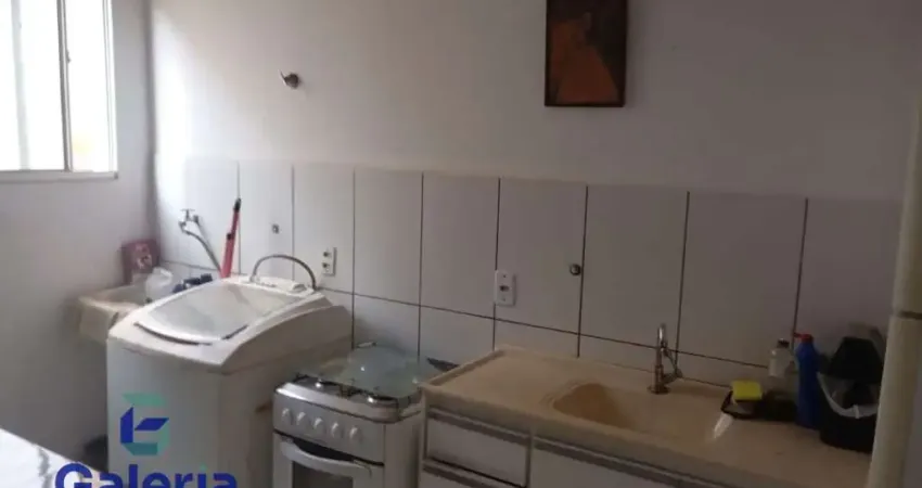 Apartamento com 1 quarto para alugar na Rua Chile, 1076, Jardim Irajá, Ribeirão Preto
