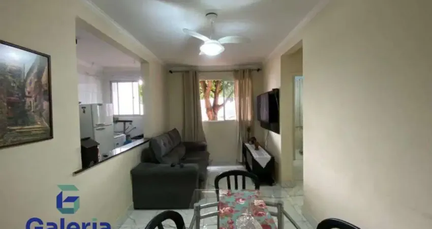 Apartamento com 2 quartos para alugar, 46m² - jardim castelo branco