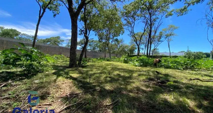 Terreno comercial para alugar na Rua Benjamin Cione, 96, Recreio Anhangüera, Ribeirão Preto