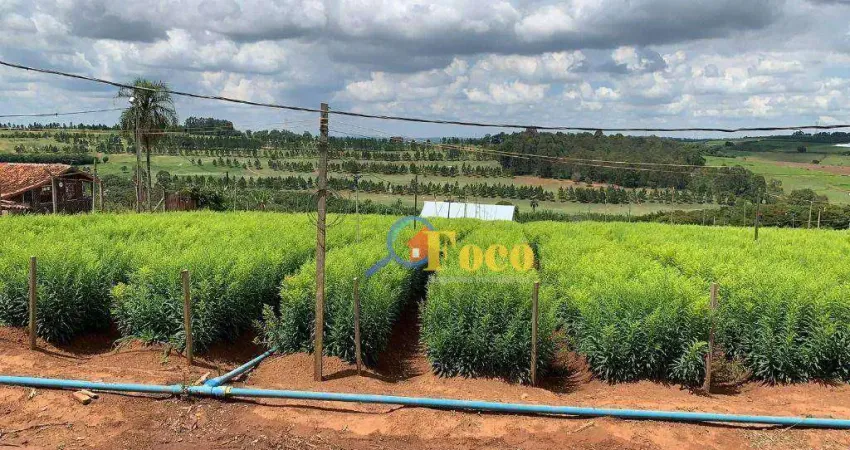 Sítio à venda, 121000 m² por R$ 1.800.000,00 - Campo Novo - Bragança Paulista/SP