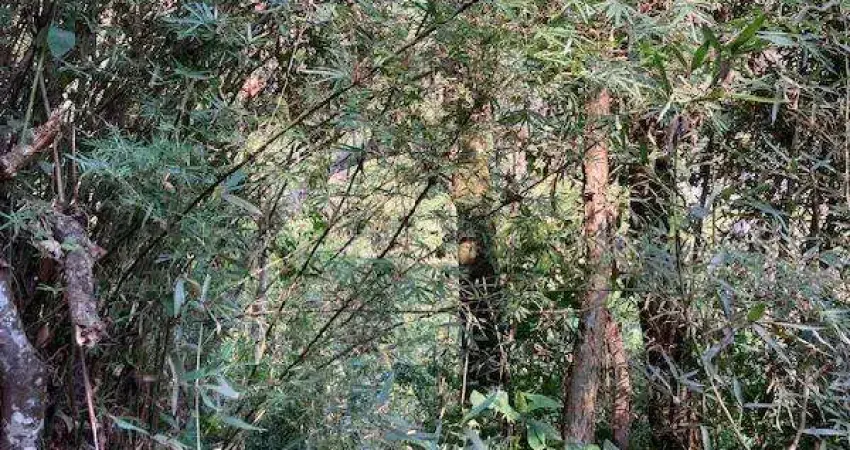 Oportunidade única em embu das artes - sp | tipo: terreno | negociação: venda direta online  | situação: imóvel