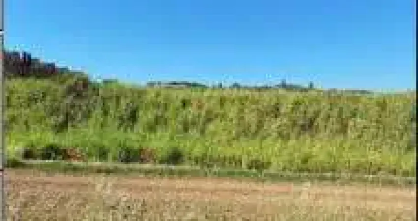 Oportunidade única em tambau - sp | tipo: terreno | negociação: venda online | situação: imóvel