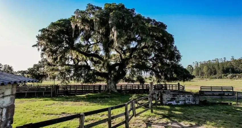 Fazenda à venda no Lomba Grande, Novo Hamburgo 