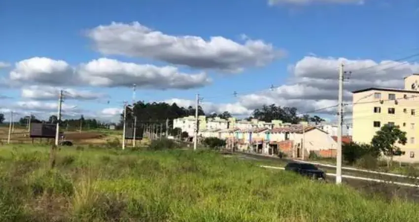 Terreno comercial para alugar no Guajuviras, Canoas 