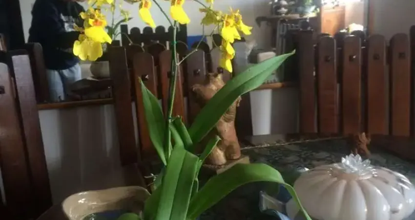 Apartamento com 2 quartos à venda na Rua Ana Benvinda de Andrade, --, Santana, São Paulo