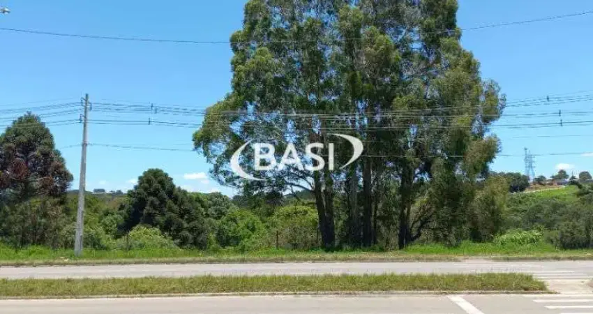 Seu negocio em destaque: terreno de alto potencial na estrada da ribeira!