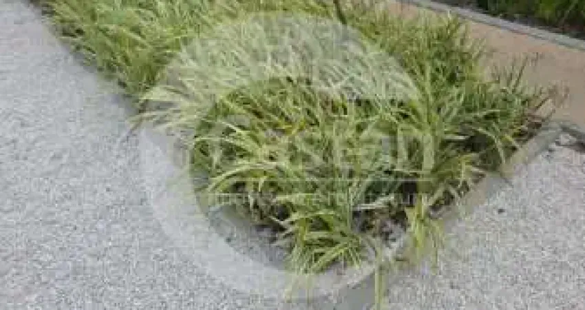 Apartamento com 1 quarto à venda na Rua Fernando Falcão, --, Mooca, São Paulo