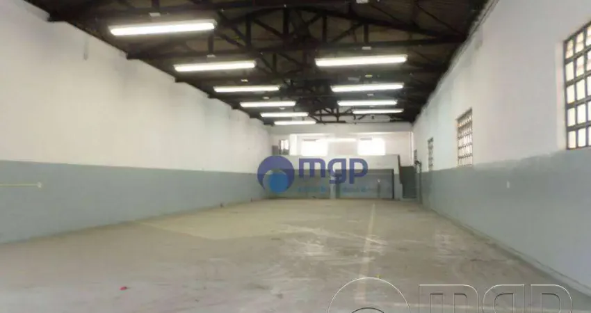 Galpão para locação na Vila Guilherme - 480 m²- São Paulo/SP