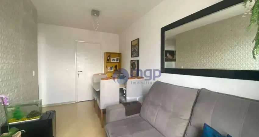 Apartamento com 2 quartos à venda, 53 m² - lauzane paulista - são paulo/sp