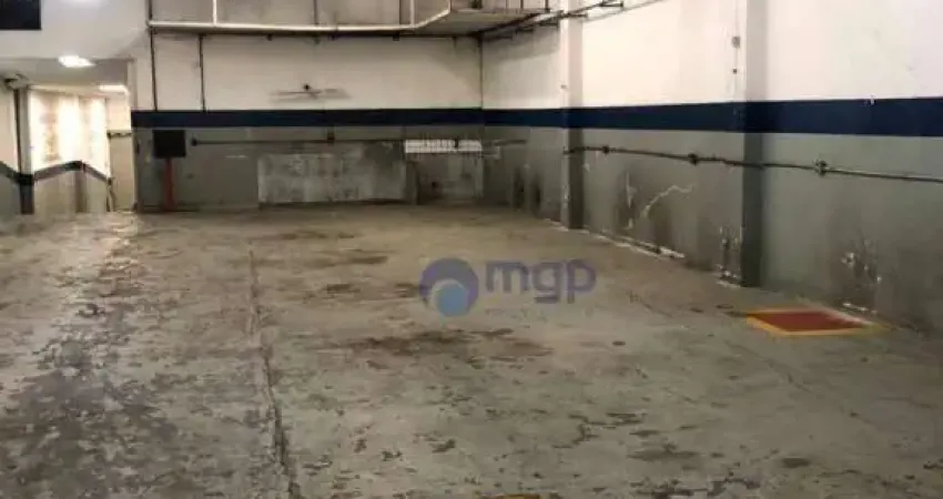 Galpão para locação na Vila Prudente - 600 m² - São Paulo/SP