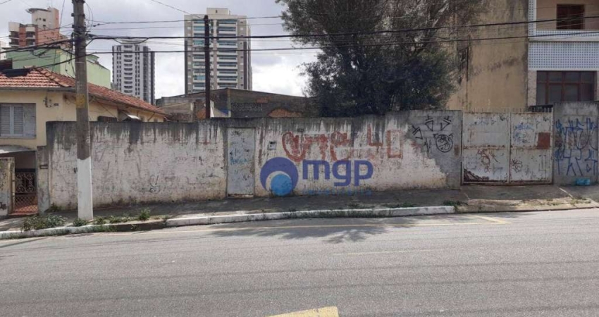 Terreno à venda, 800 m² por R$ 3.200.000,00 - Vila Guilherme - São Paulo/SP