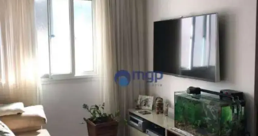 Apartamento com 3 dormitórios à venda, 98 m² por R$ 500.000,00 - Parque Mandaqui - São Paulo/SP