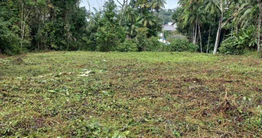 Terreno comercial para alugar no Salto do Norte, Blumenau 