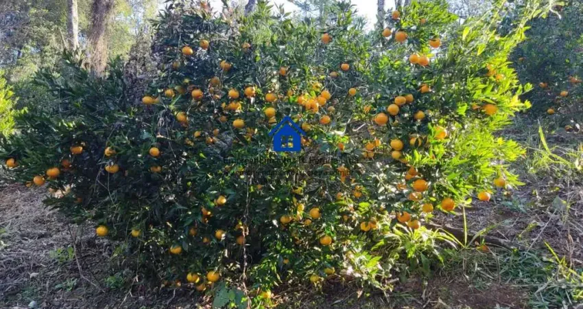 Sítio / chácara para venda em campo magro, conceição da meia lua, 1 banheiro, 1 vaga