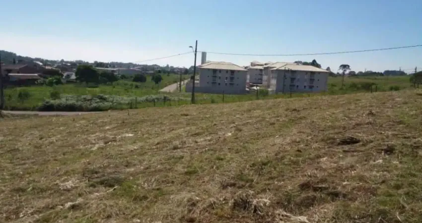 Terreno à venda na Rua Anastácia Gawleta Drobzenski, 8, Costeira, Araucária