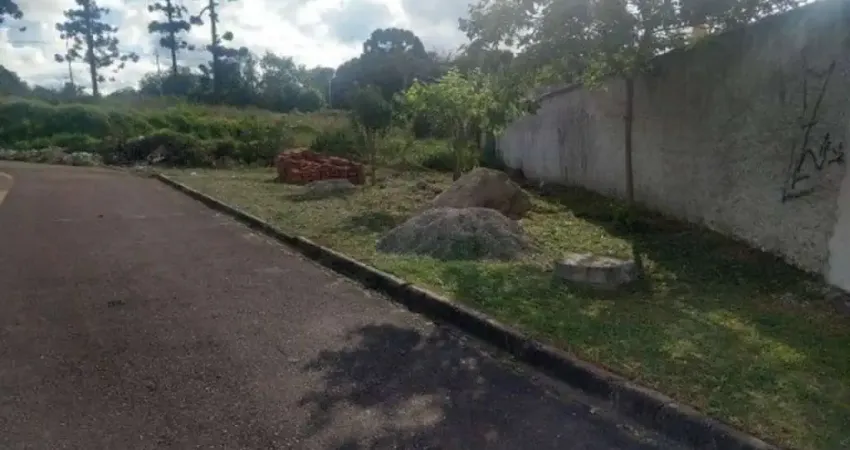 Terreno à venda na Rua Anastácia Gawleta Drobzenski, Costeira, Araucária